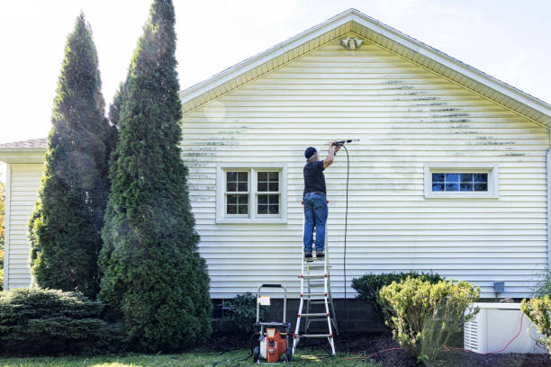 Best Patio and Deck Pressure Washing  in Blue Jay, OH